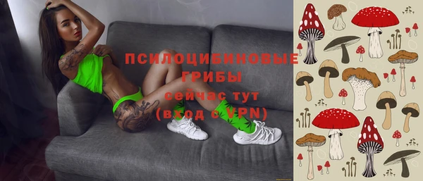 хмурый Армянск