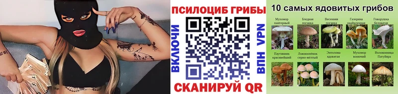 Псилоцибиновые грибы Psilocybe  купить закладку  Славск 