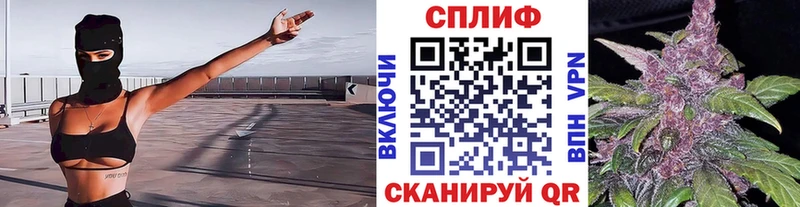 где продают наркотики Славск Марихуана индика